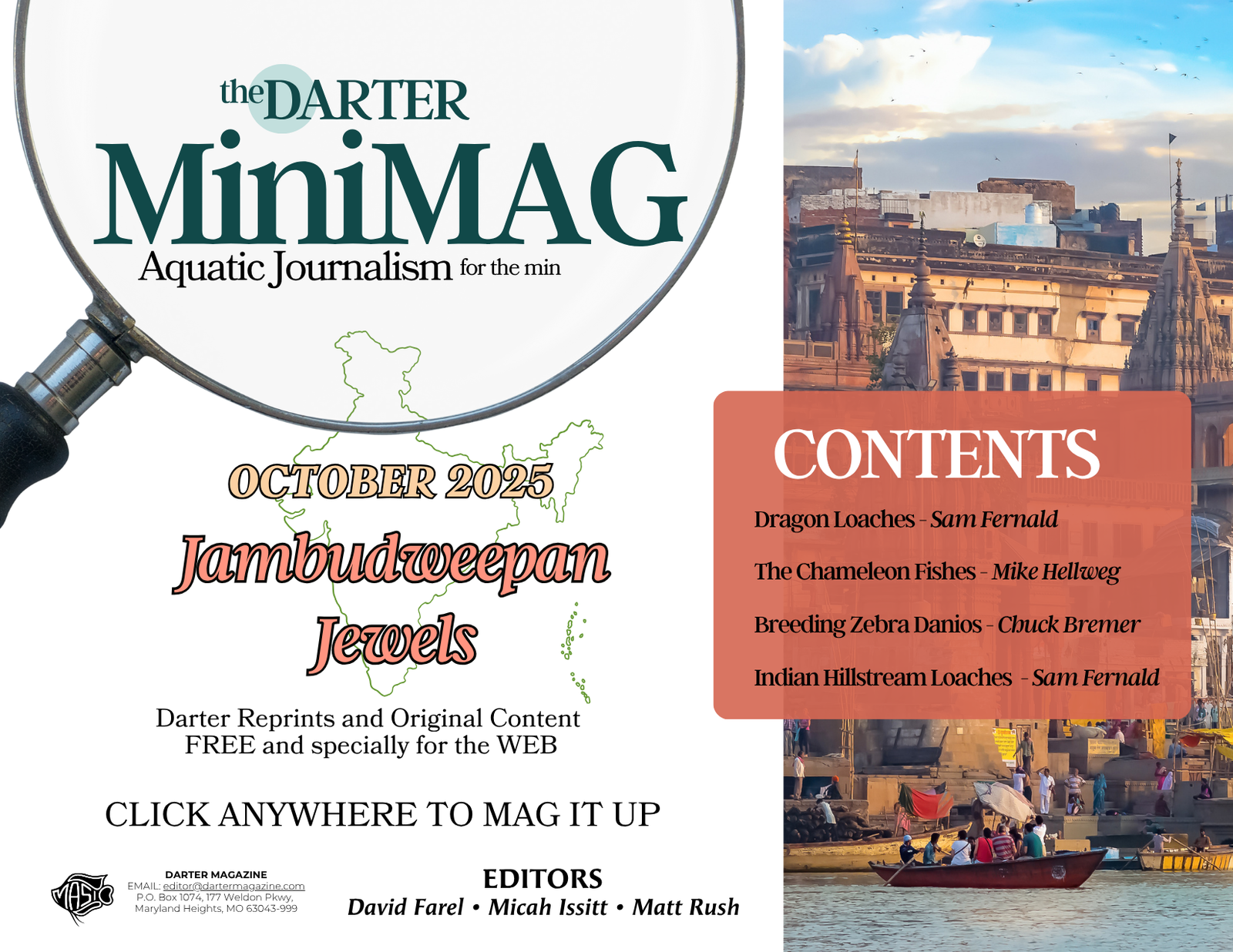 Mini-MAG Advert Template